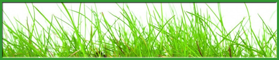 Grasmatten-Graszoden.be